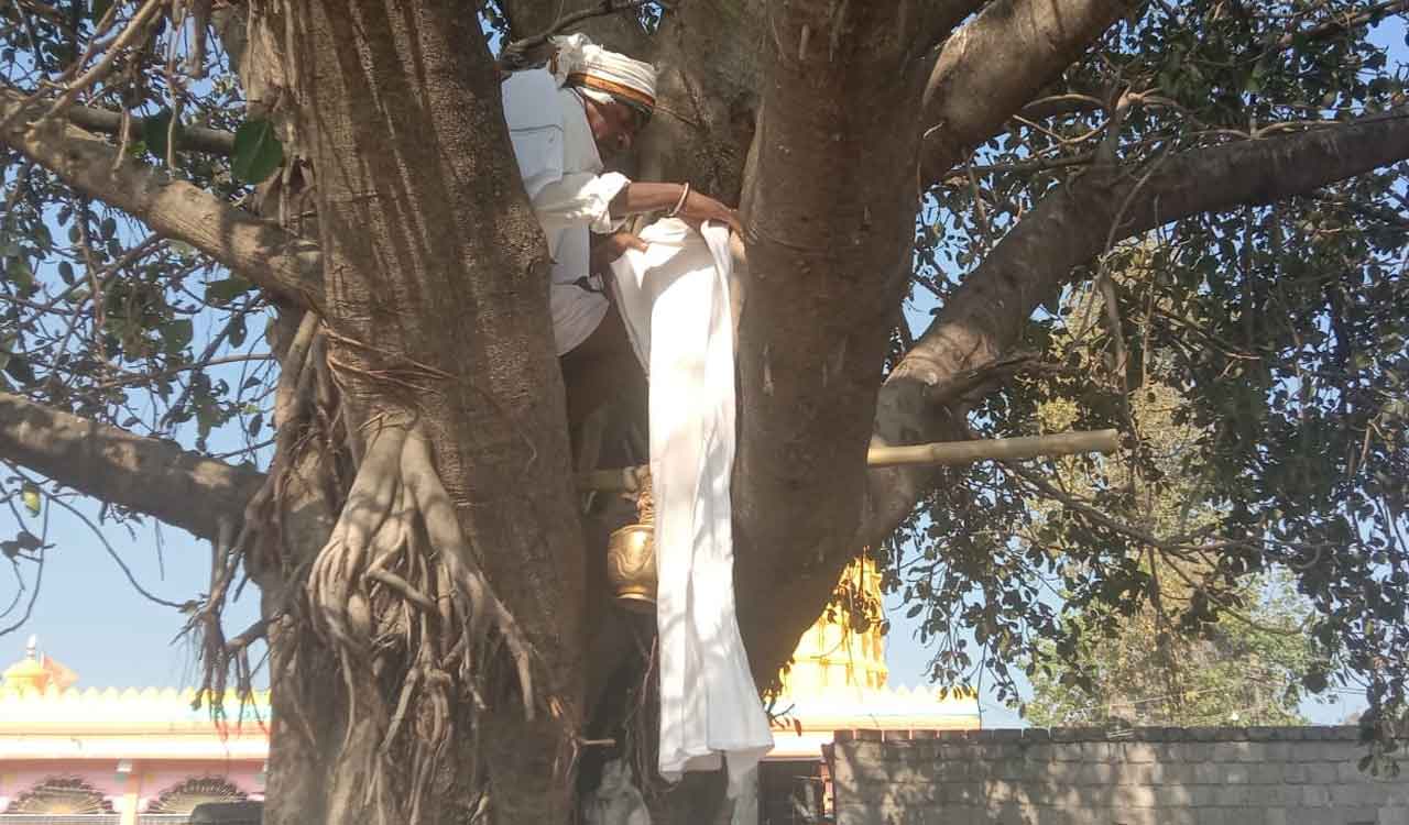Adilabad: Mesrams arrive in Indervelli fetching sacred Godavari water Godavari