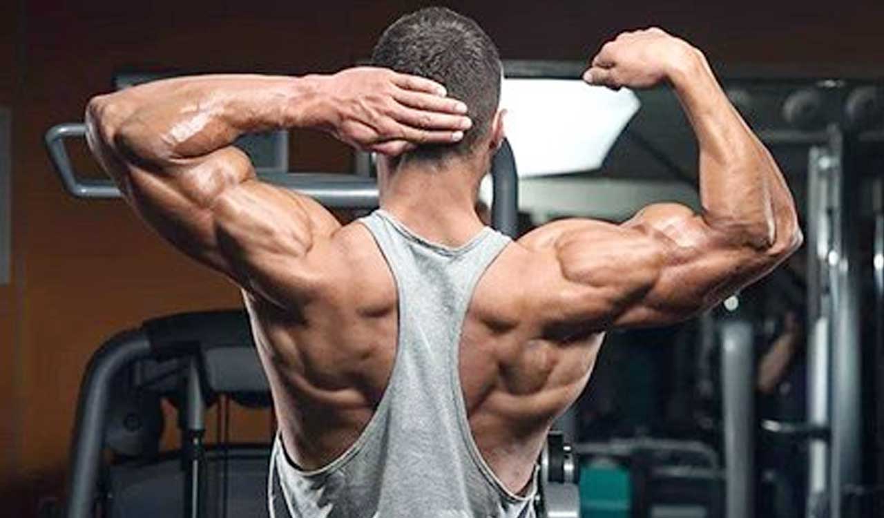 Fat stored in muscles can increase risk of heart disease