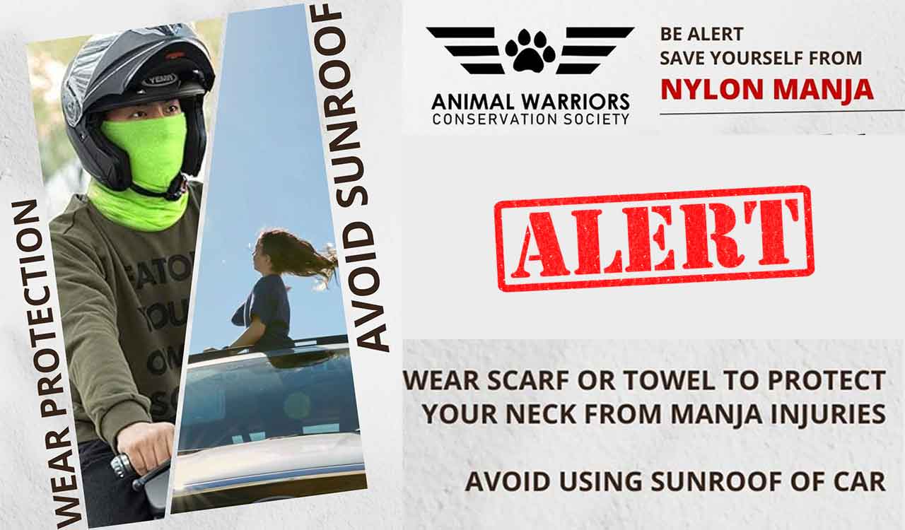 Nylon manja threat: Don’t open car sunroof, cautions NGO
