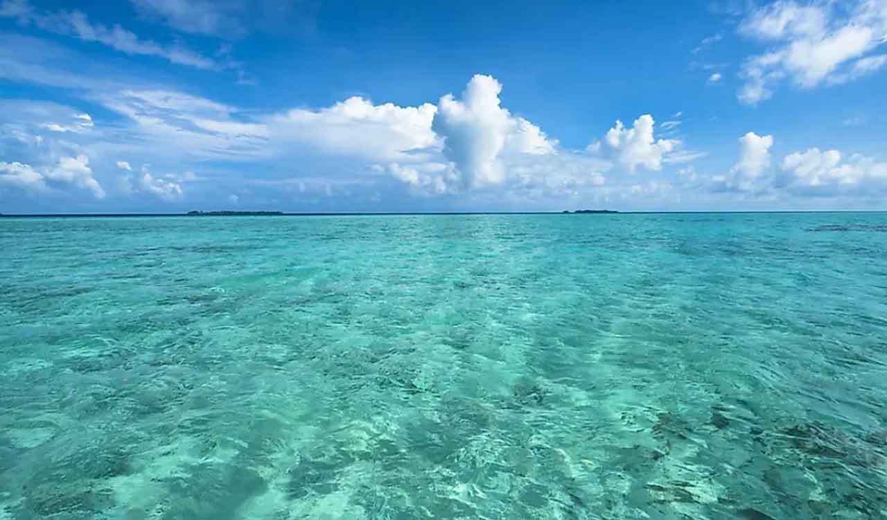 Extreme ocean heat breaks records again in 2024