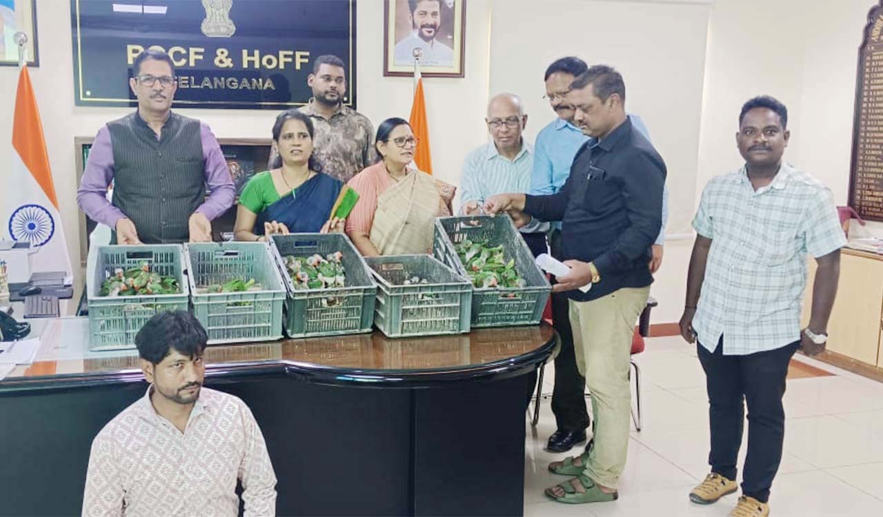 Hyderabad: Police nab one person for selling rare Alexandrine parrots