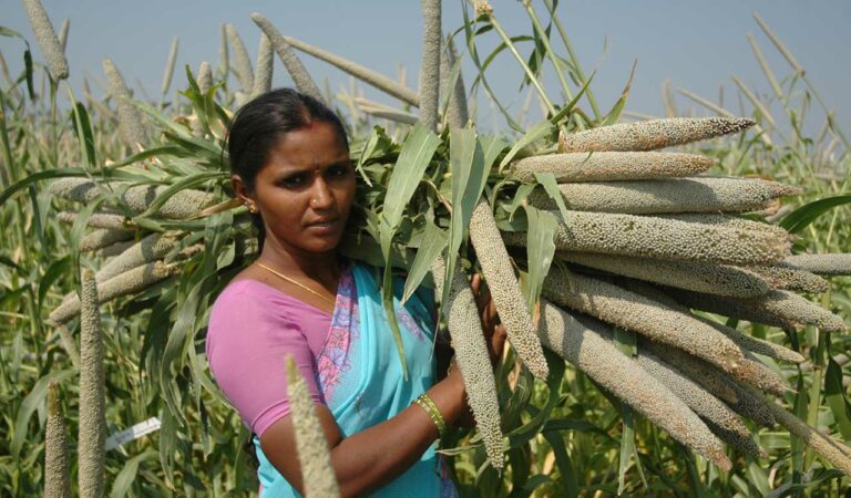 lifestyle telangana experts stress importance of including millets in pds for food security nutrition