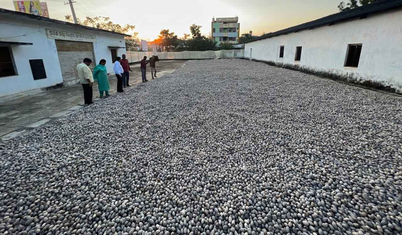 Mancherial excels in sericulture, achieves 50 per cent of target set for Telangana