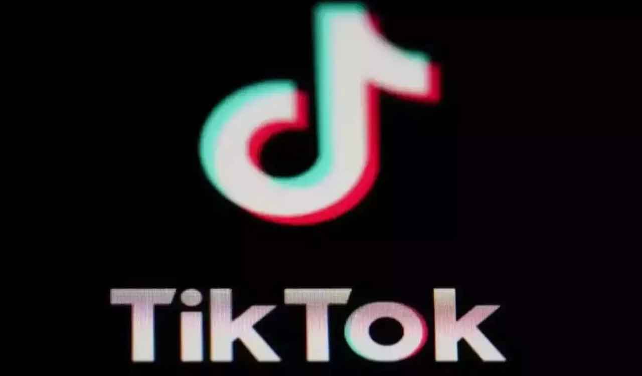 New bid for TikTok