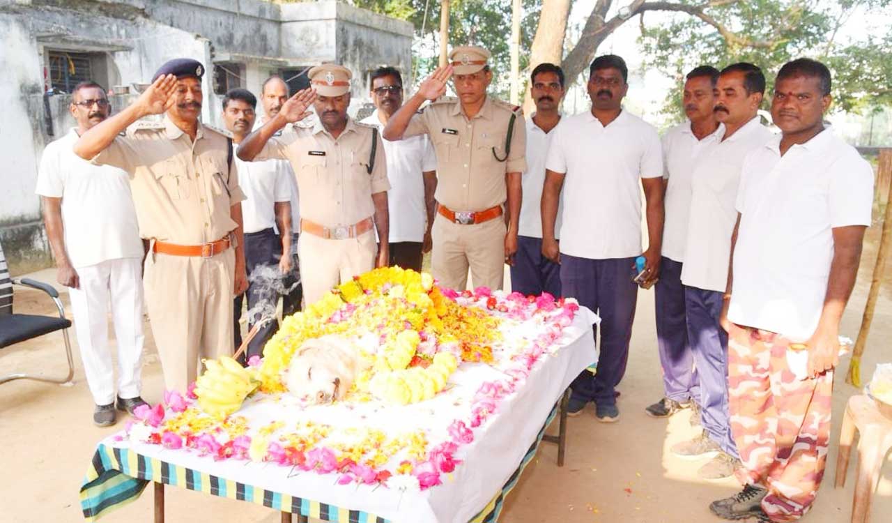 Police dog ‘Veena’ cremated with police honours in Vizianagaram
