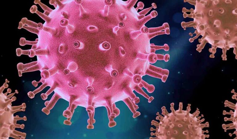 Virus F