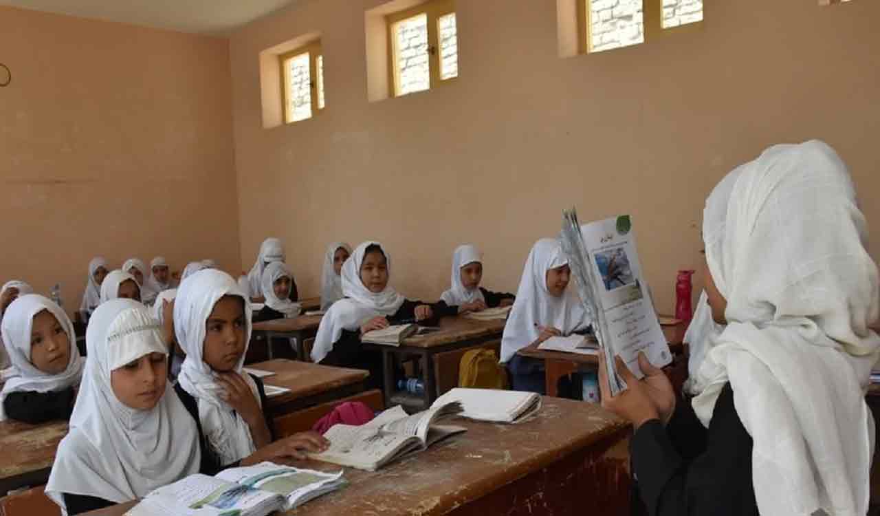 Taliban deputy urges leaders to scrap education ban on Afghan women, girls