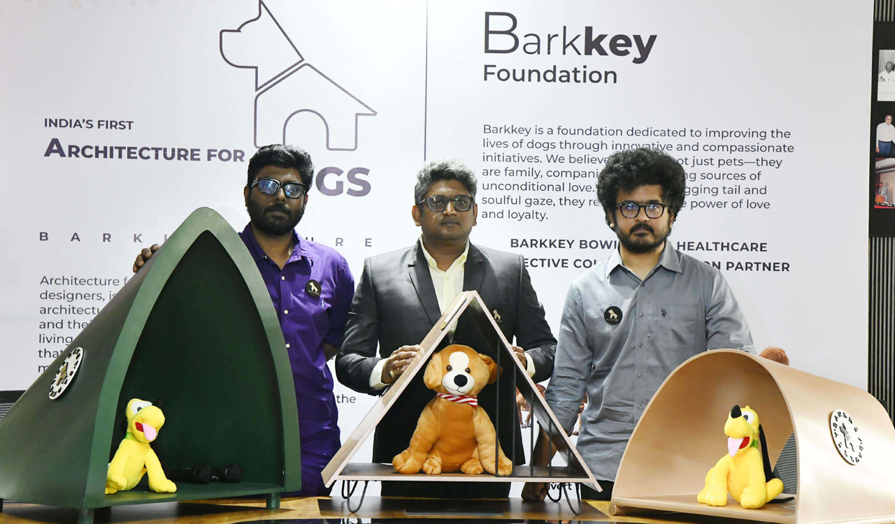 Now, give your dog a customised personal space with Hyderabad-based ‘Barkitecture’