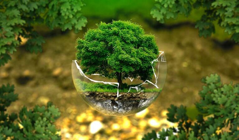 Biomes