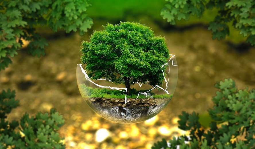 Opinion: Designer worlds, with multiple species