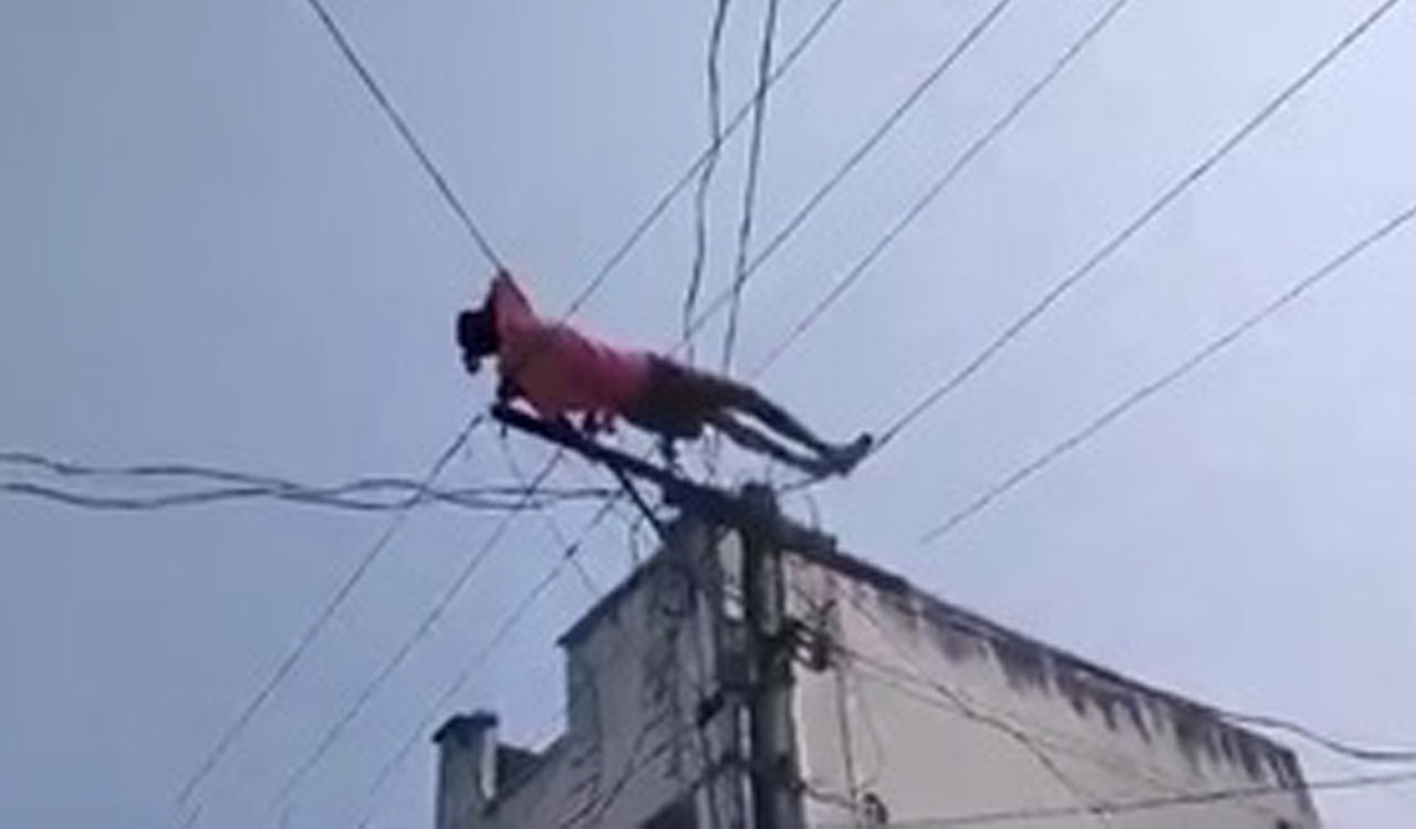 Drunk youth climbs electric pole over pension dispute in Andhra Pradesh