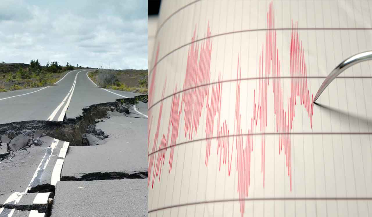 Earthquakes today hamilton