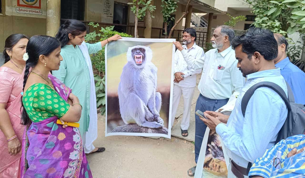 Langur posters is Karimnagar Municipal Corporation’s solution to tackle monkey menace