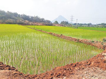 Farmers of Ramaji Thanda stage protest for SRSP water
