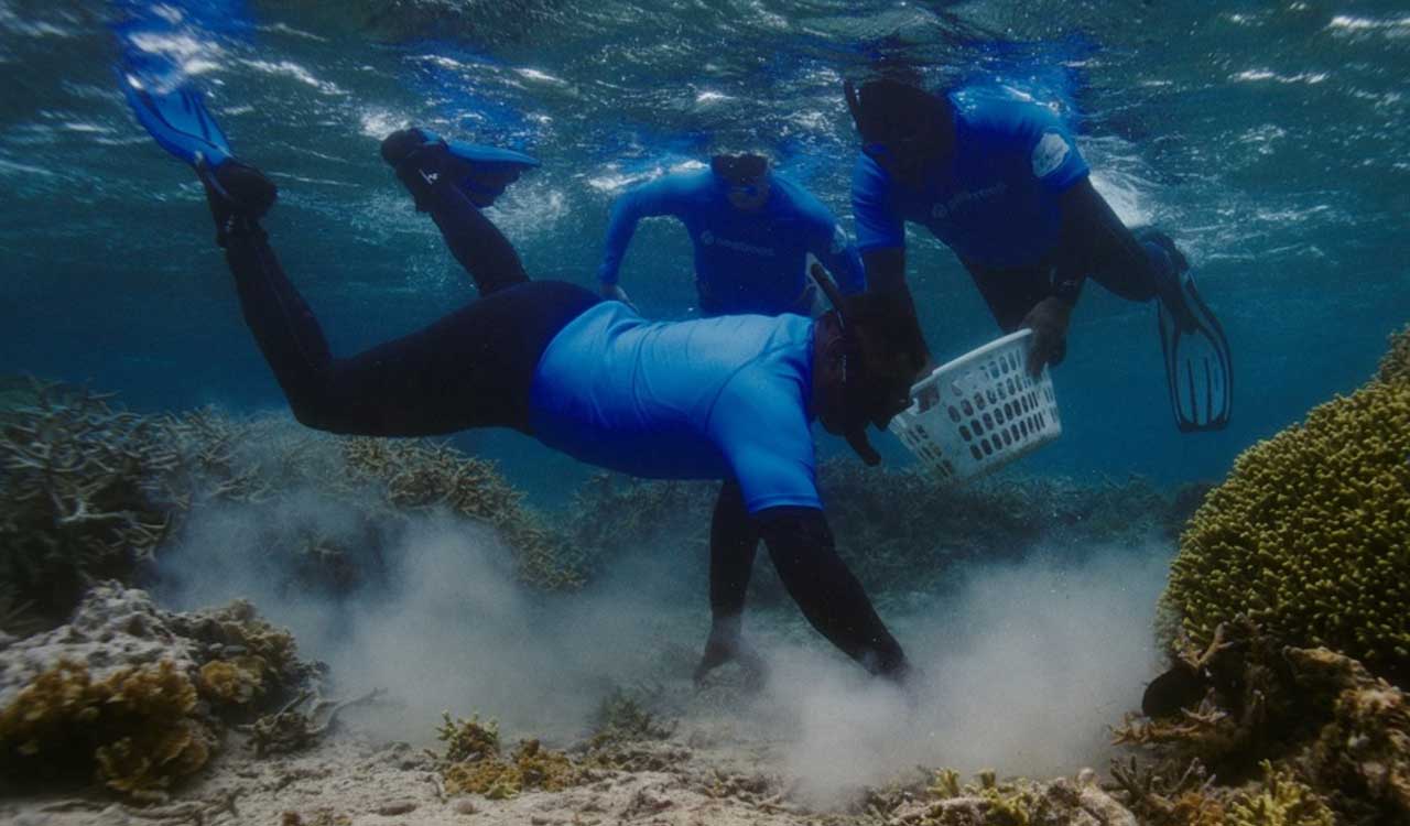 Samsung takes a step forward in coral reef restoration