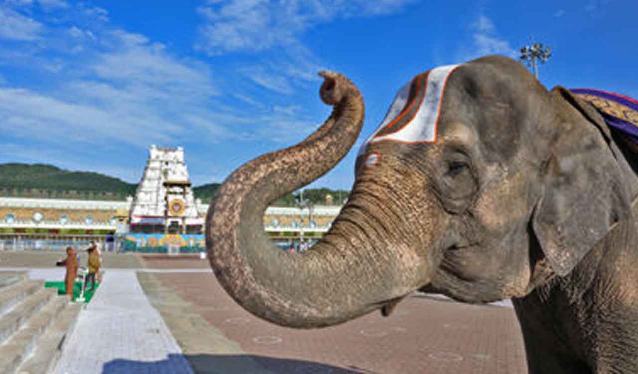 Forest Department wants Telangana temples to adopt elephants, to approach State government