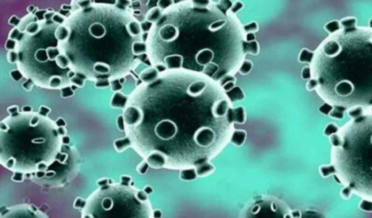 Viral Fever