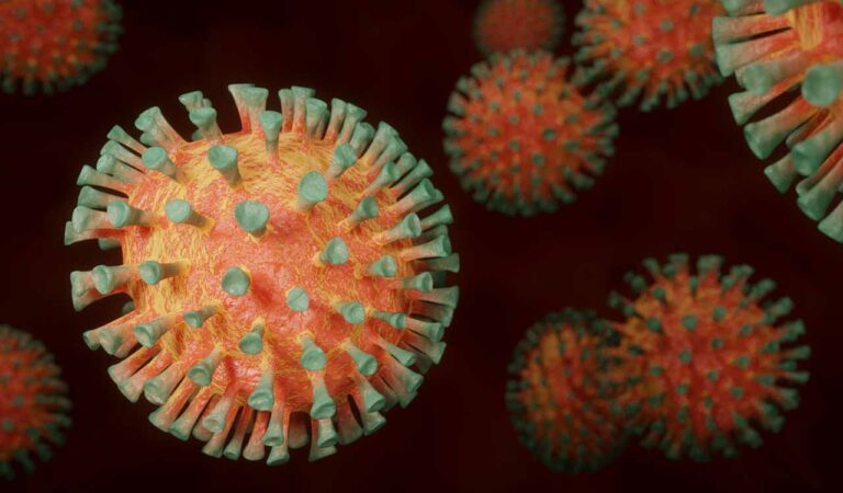 HMPV Virus