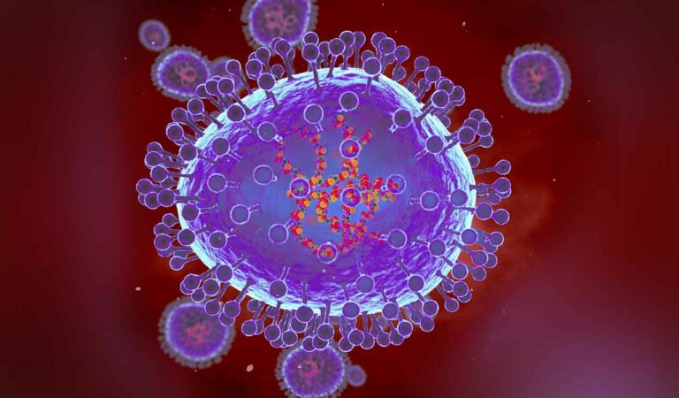 Virus