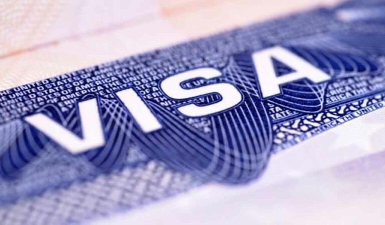 Visa students