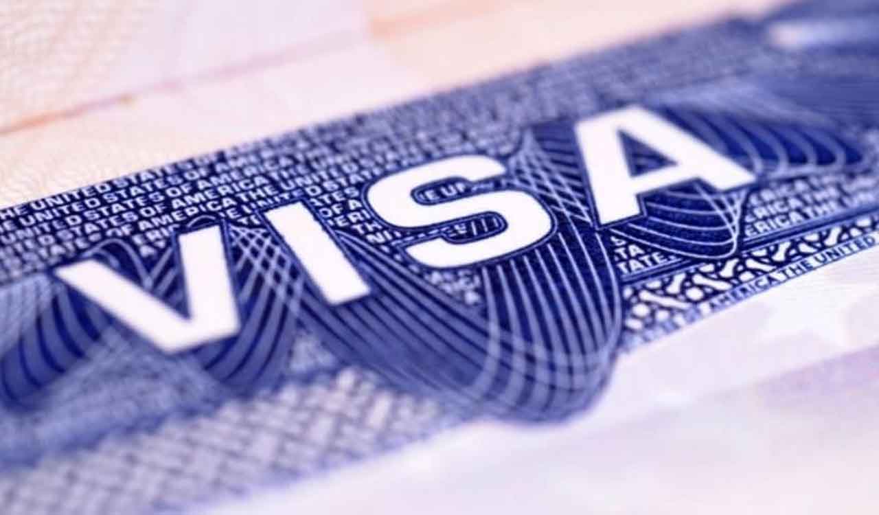 2 special categories of visas launched for foreign students 