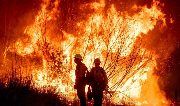 Wildfire in LA
