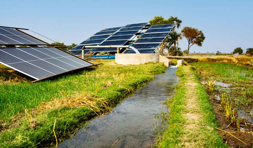 Opinion: Budget fails to address energy security in agriculture sector