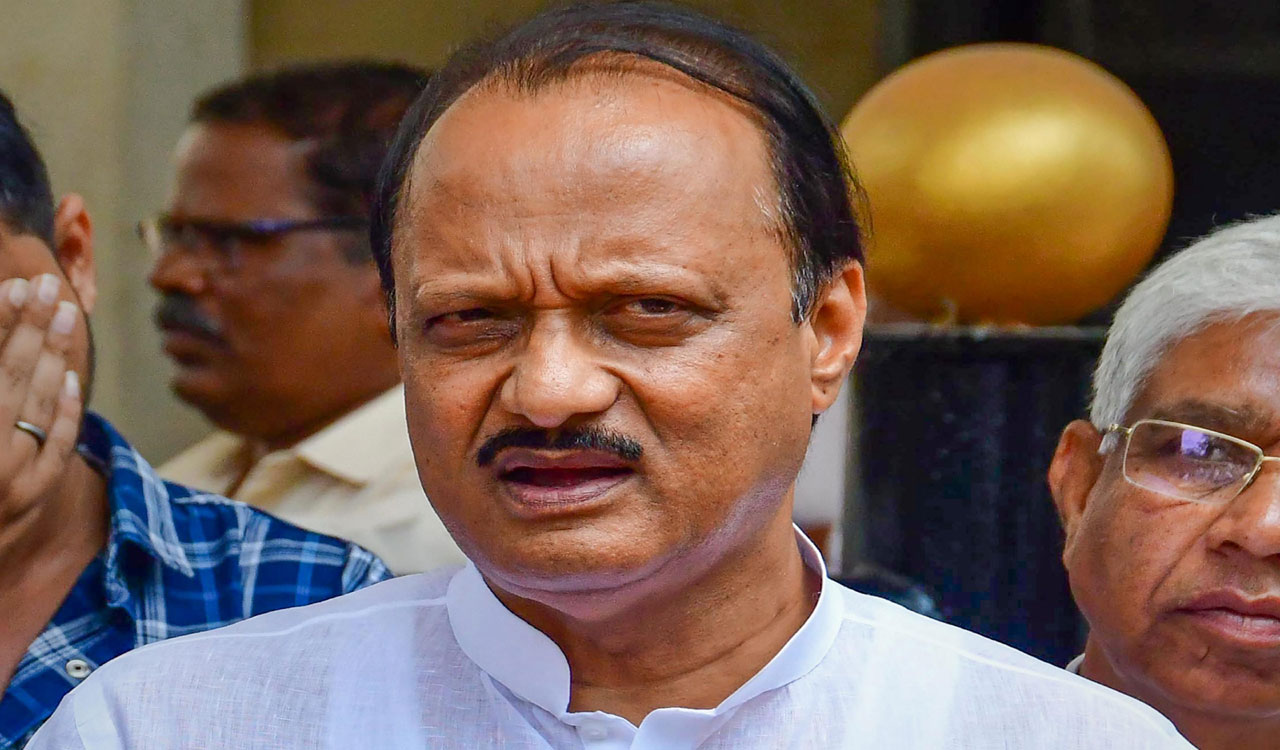 Guillain-Barre Syndrome: Dy CM Ajit Pawar says to avoid undercooked chicken