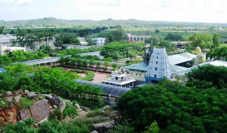 Telangana: Devotees throng Basar temple in Nirmal on Vasantha Panchami