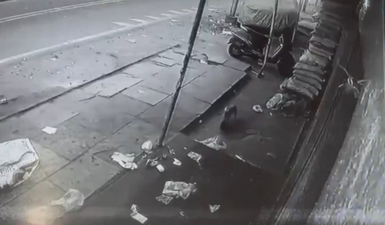 Watch: Cat behind Tappachabutra temple episode!