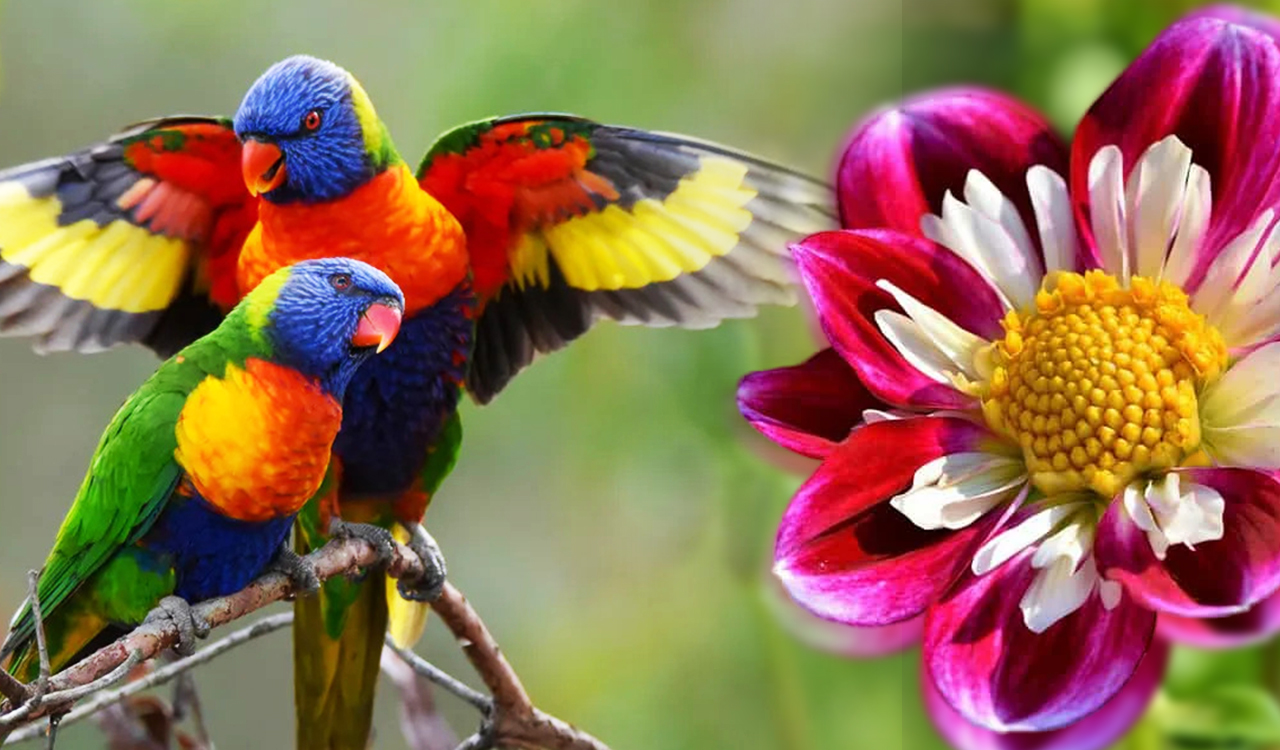 Life on Earth has been painting its own canvas for billions of years