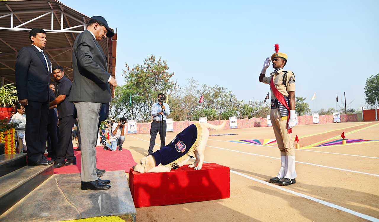 Hyderabad: Highly trained police canines ready for challenges ahead