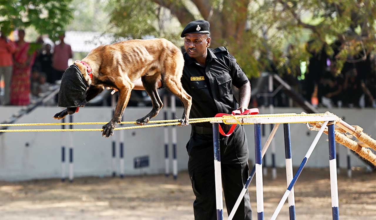 Hyderabad: Highly trained police canines ready for challenges ahead