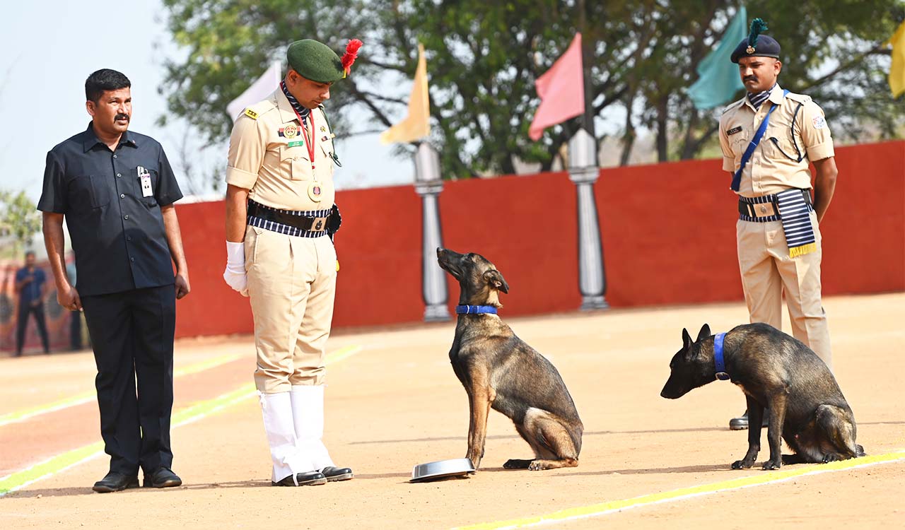 Hyderabad: Highly trained police canines ready for challenges ahead