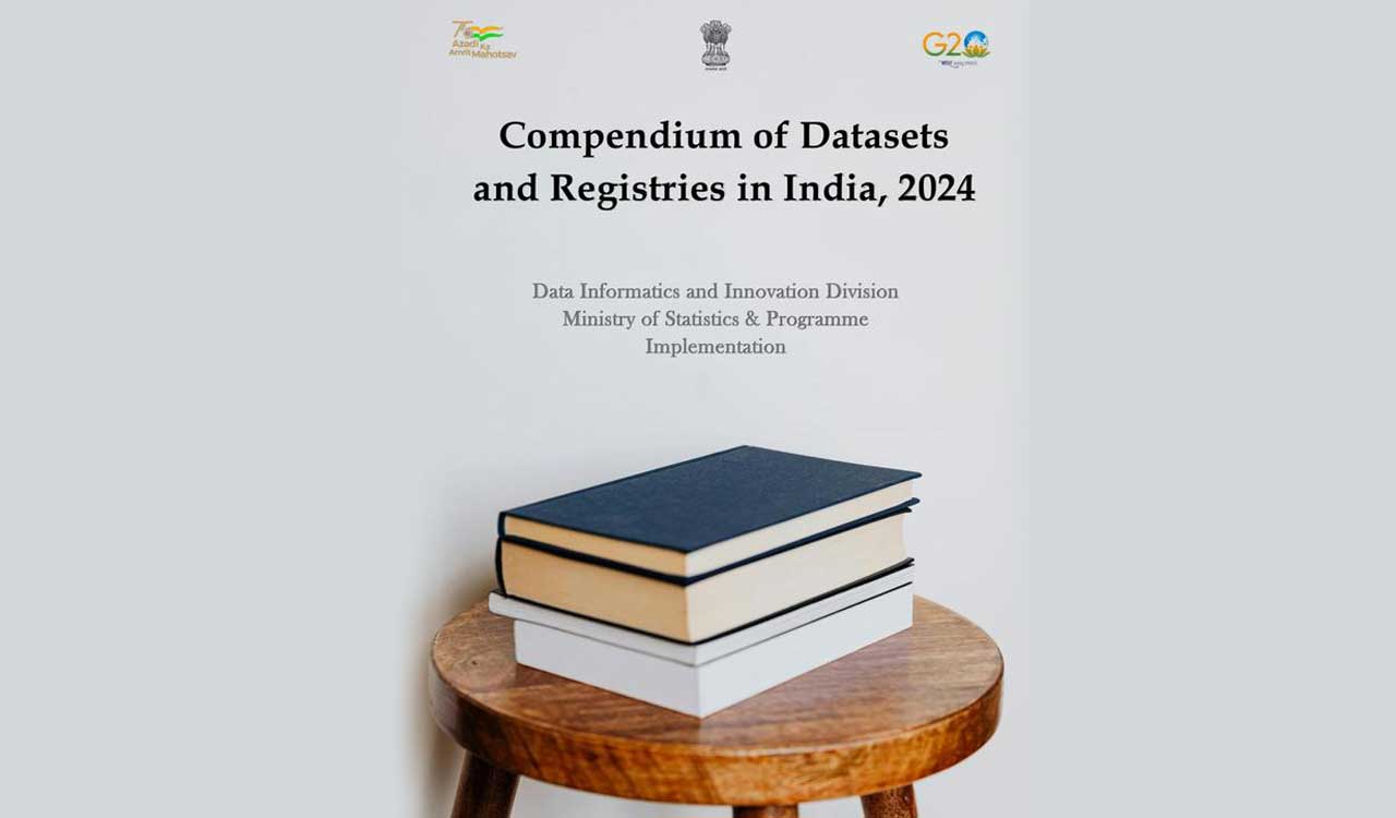 Accessing government data made easy