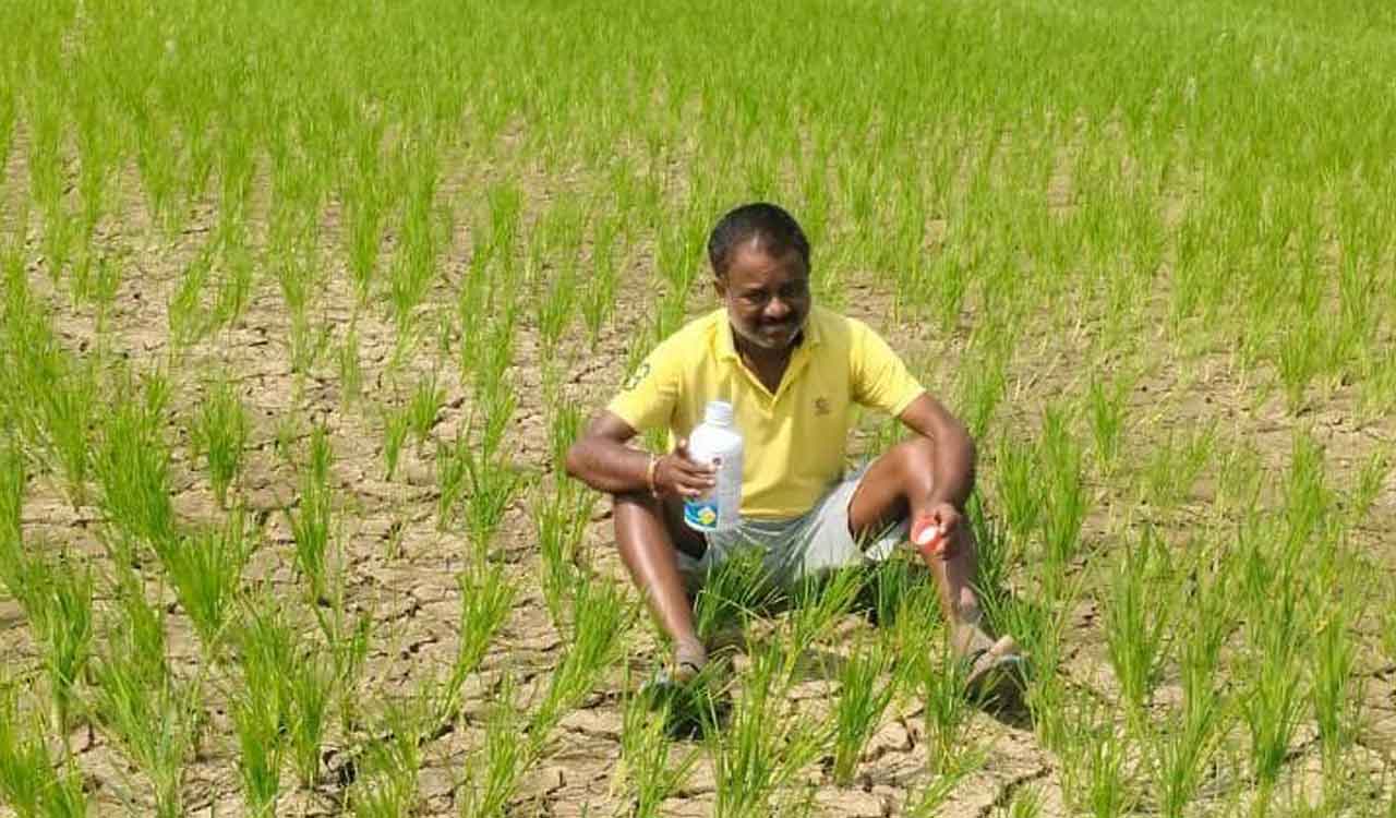 Farmer attempts suicide over water crisis in Suryapet