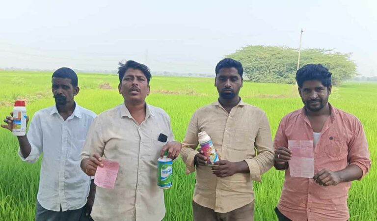 Farmers