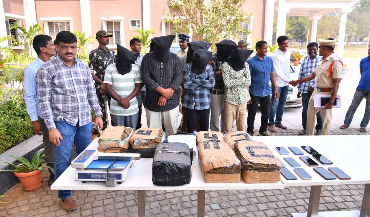 Ganja worth Rs 48 lakh seized in Godavarikhani