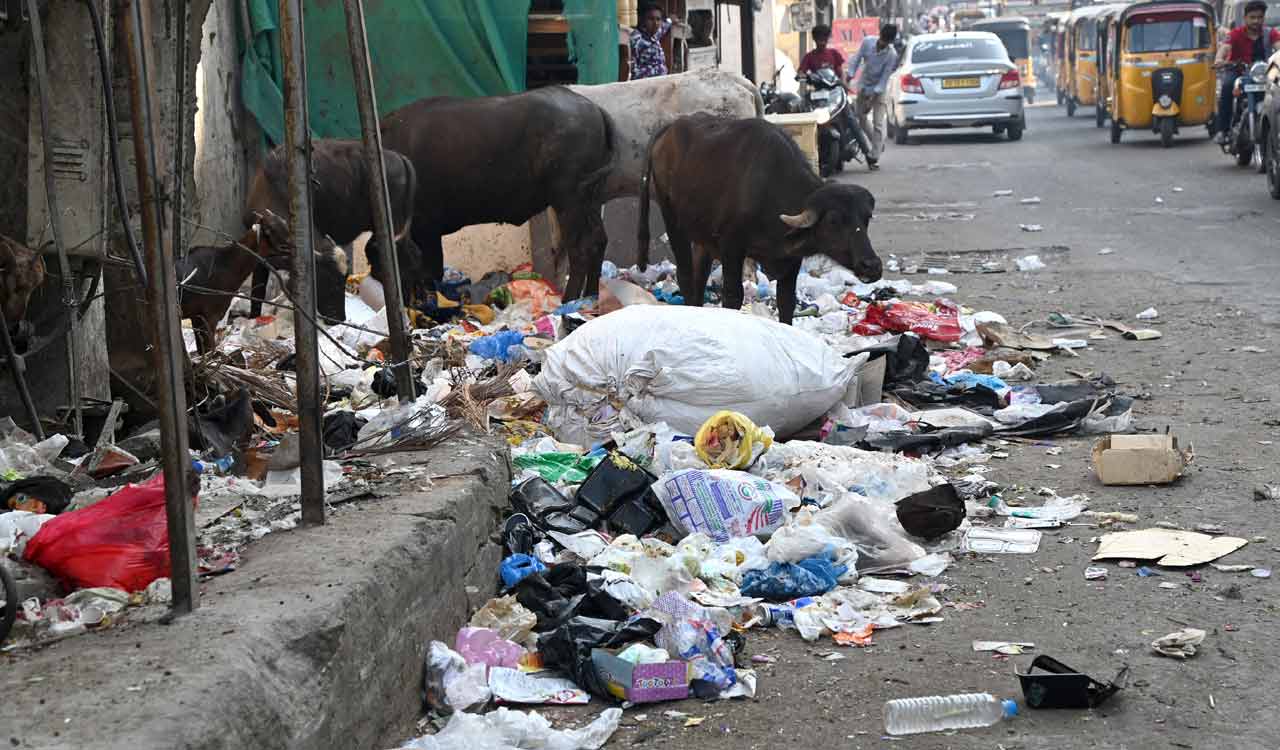 Key areas in Hyderabad’s old city dotted with mounds of garbage