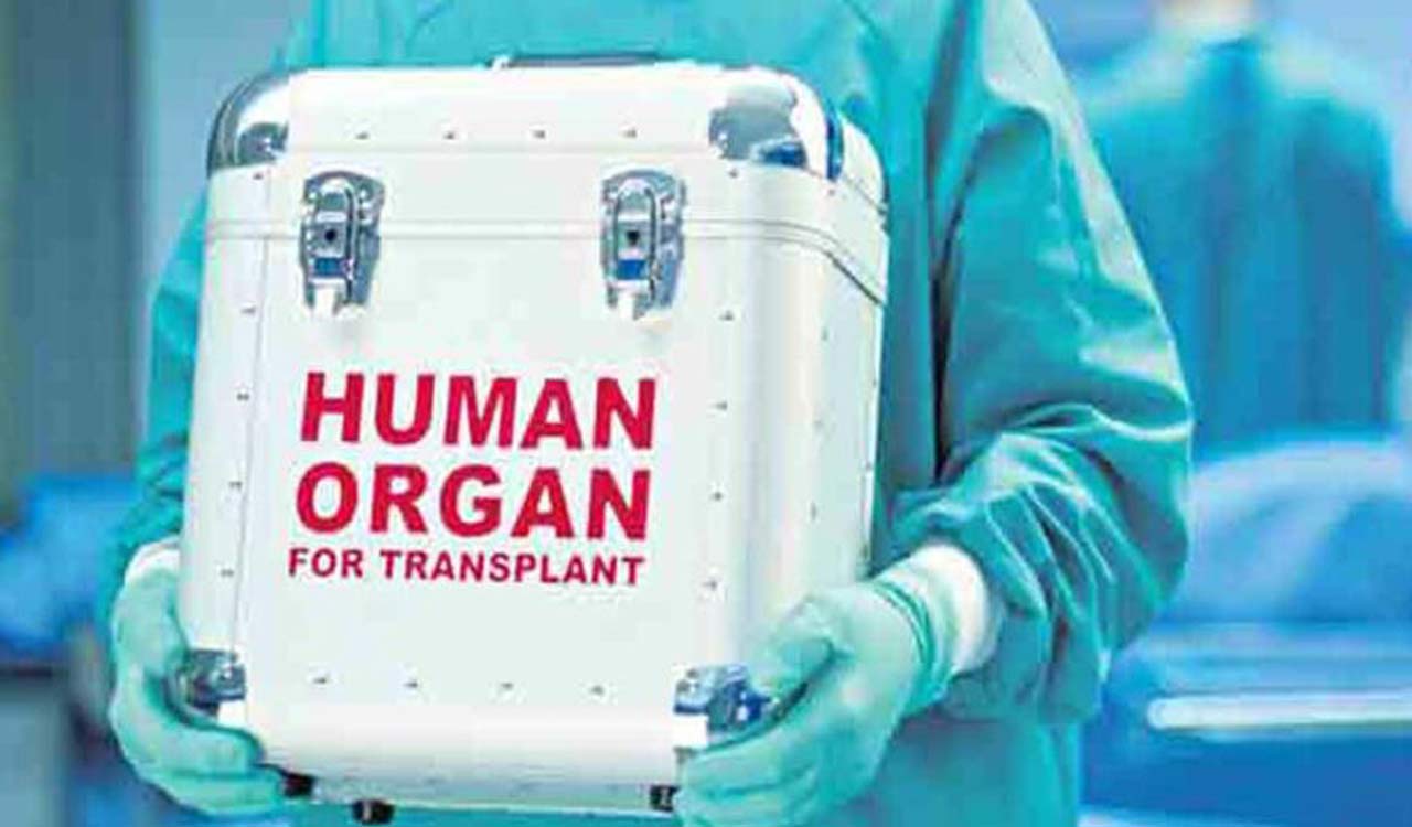 Hyderabad: Brain-dead house surgeon’s organ donation saves four lives