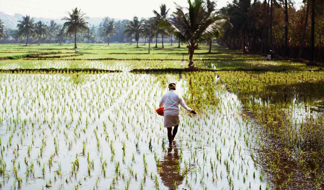 Opinion: Budget neglects agriculture again