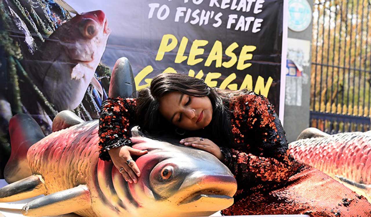 Peta Demo At Kbr Park