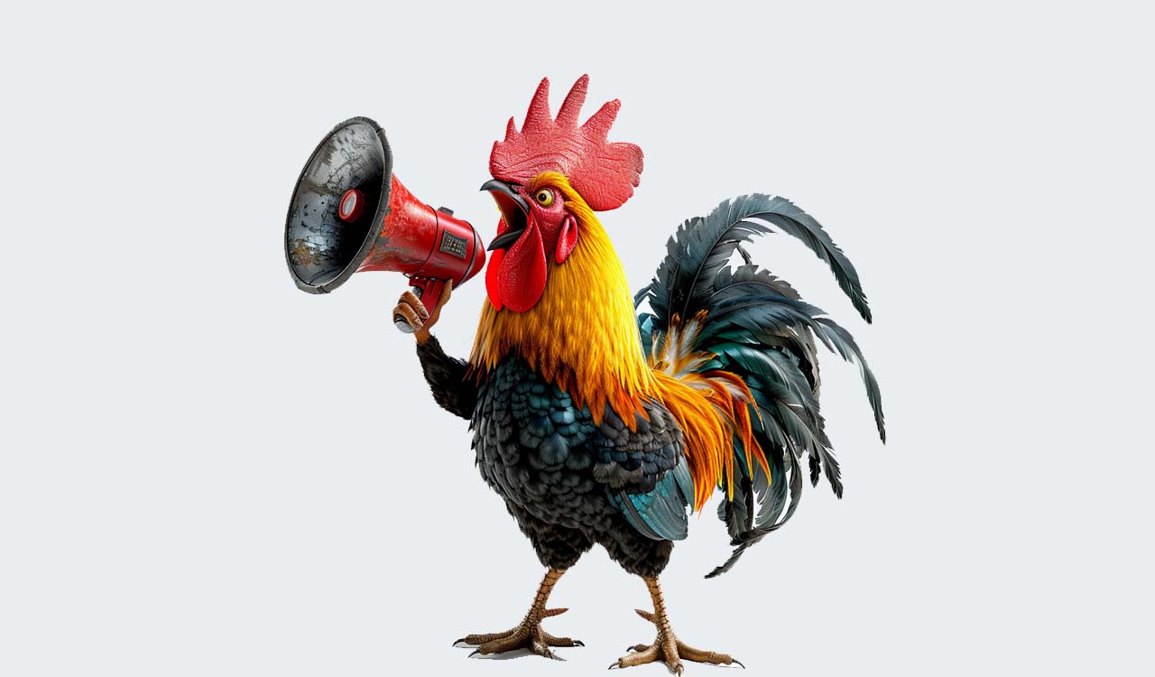 Rooster disturbs Kerala man’s sleep, complaint filed