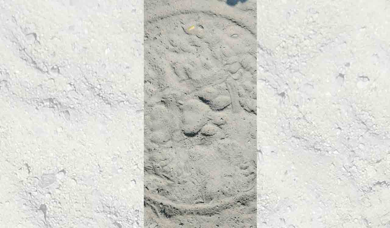 Sighting of tigress sparks panic among villagers in Telangana’s Mancherial