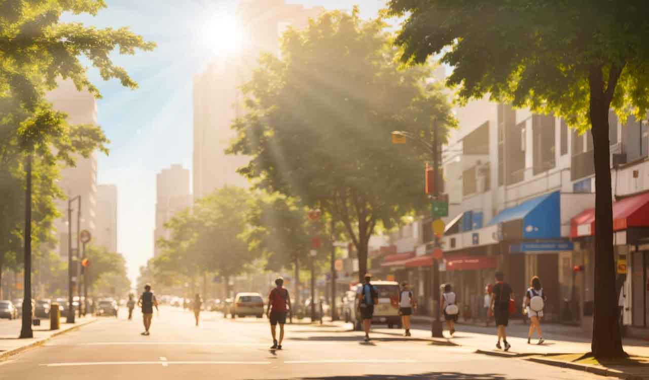 Water trees to save yourself from heatwaves