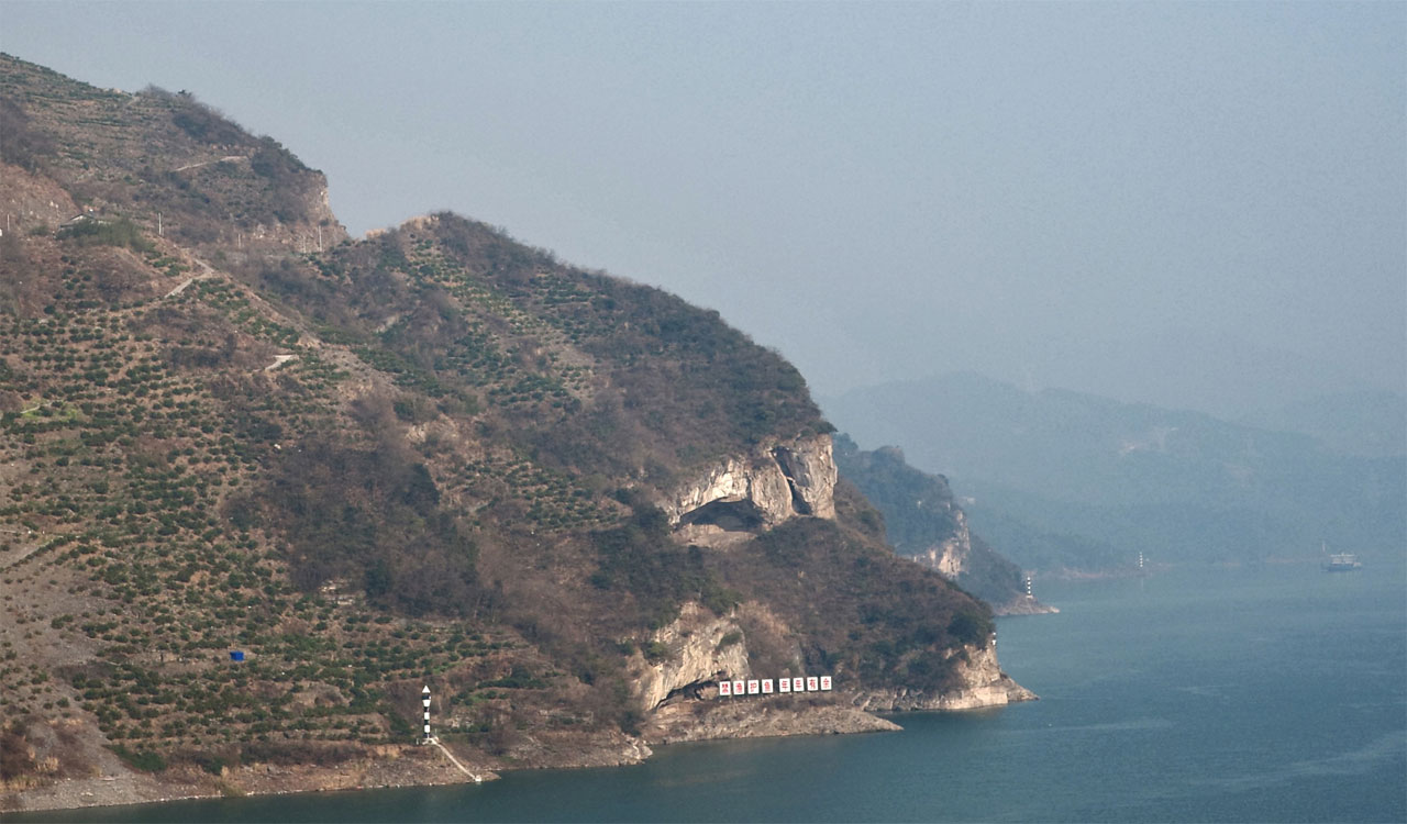 A cliff in China that looks like a puppy!