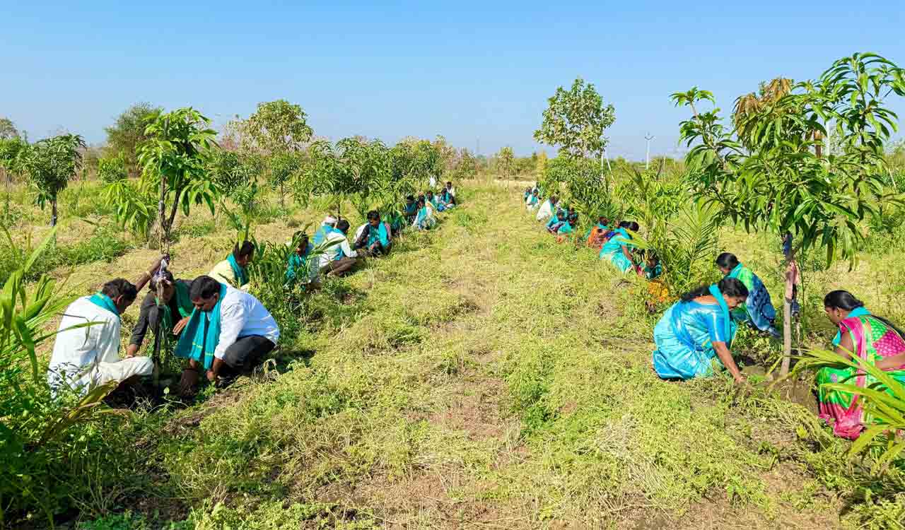 Villagers of Adilabad plant 500 saplings to mark K Chandrashekhar Rao’s birthday