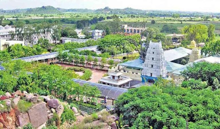 Telangana: Basar temple income goes up slightly, thanks to Vasantha Panchami
