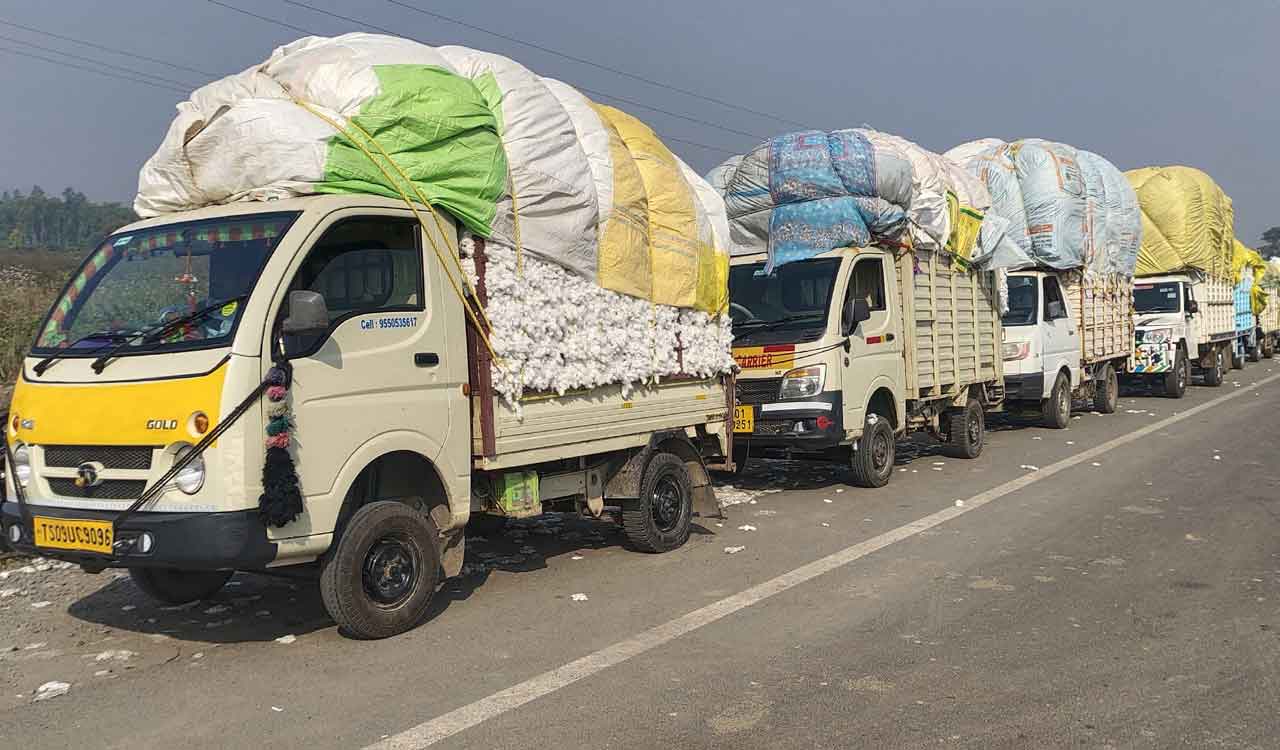 Server glitch delays cotton procurement across erstwhile Adilabad district