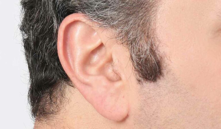 Ear